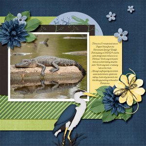 Survivor Week 5