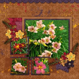 Daylilies