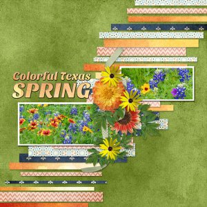 Colorful Texas Spring