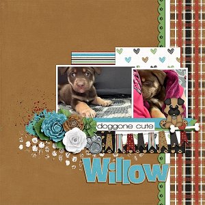 Willow
