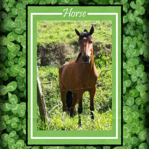 ATC 2019-042 Horse