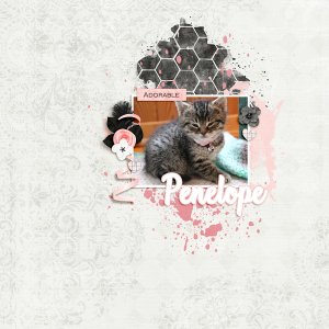 Dagi's Temp-tations - Simply 4