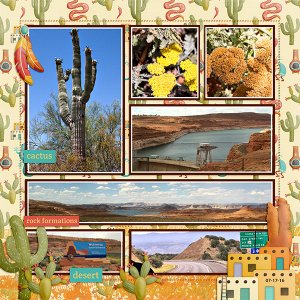 Traveling in Arizona_L