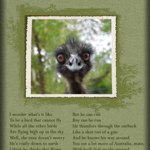 ATC 2019-044 The Nature of the Emu