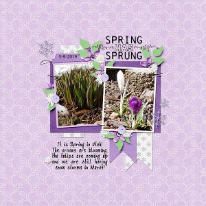 Spring Has Sprung