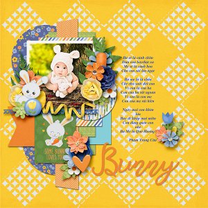 Cute bunny