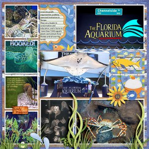 Florida Aquarium