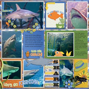 Shark Tank