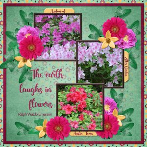 The earth laughs in flower