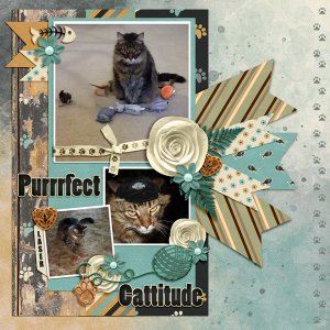 Perfect Cattitude