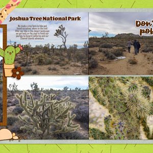 Joshua Tree National Park