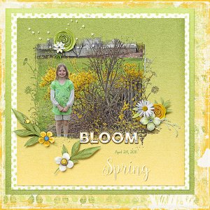 Bloom