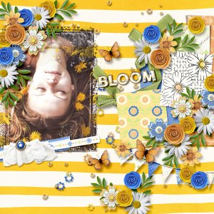 Bloom