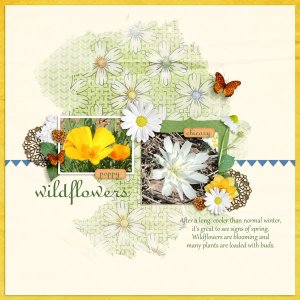 Wildflowers - Apr Temp 1 challenge