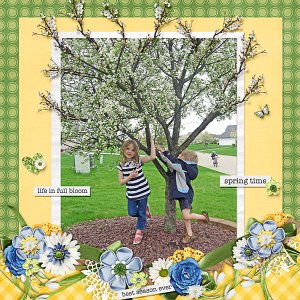 Life in Full Bloom