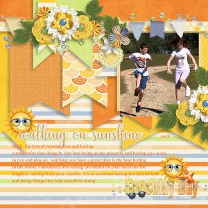 Sunshine Day