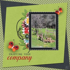 Deer--enjoying your company