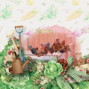 Spring Chickens