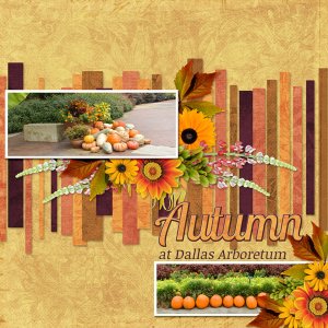 Autumn at Dallas Arboretum