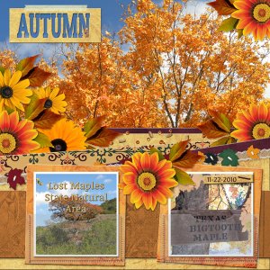 AUTUMN