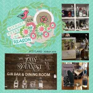 A Reason for Gin