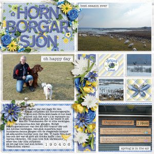 Lake Hornborgaren