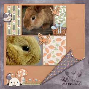 Bunny_moments