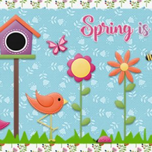 Spring Is in the Air!