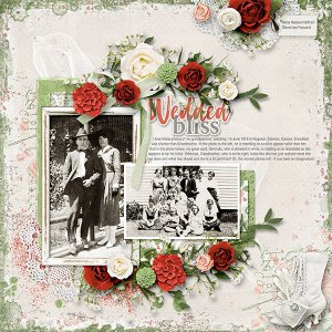 WEDDED BLISS