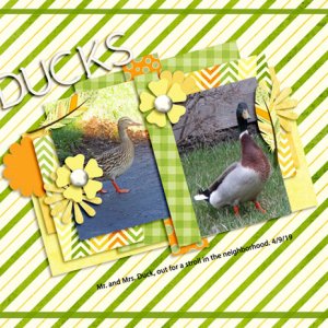 Ducks