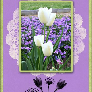 Spring Moments