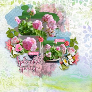 Splendid-spring