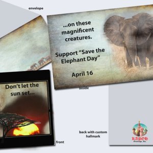 Save the Elephant Day