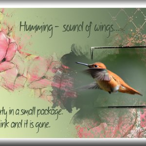 ATC 2019-049 Humming