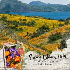 super bloom