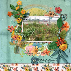 Roadside flowers
