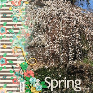 Finally Spring