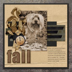 202-10-11-FallByCFALBRO