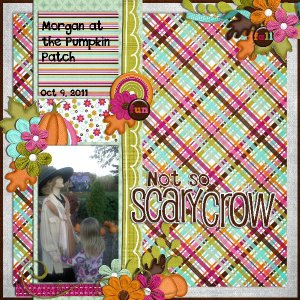 not so scary-crow