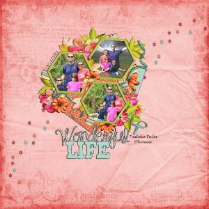 wonderful life