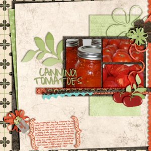 Canning Tomatoes