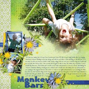 Monkey-Bars-20aug11