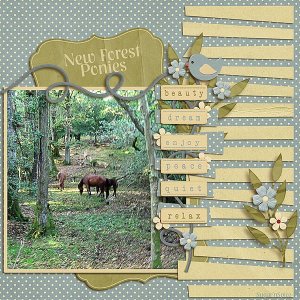SnS-Ponies