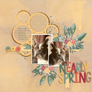 NEARLY SPRING