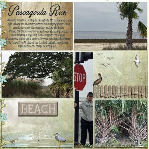 GSPocketCh419-PascagoulaRun-LSide011519