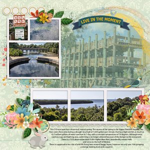 Wall Springs Park 2