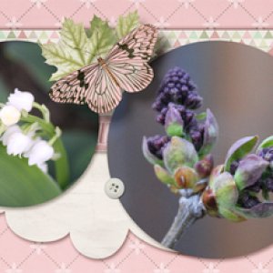 Dagi's Temp-tations - Timeline Sensation