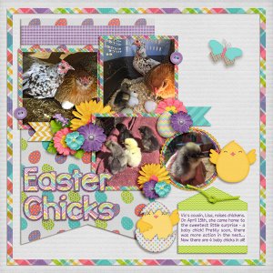 Easter Chicks