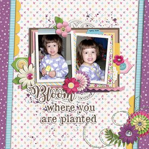 bloom