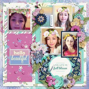 blossomlily